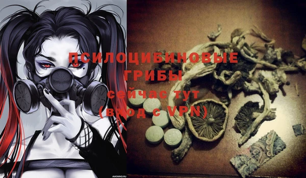 гашик Аркадак