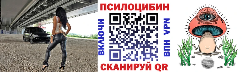 Галлюциногенные грибы Cubensis  Балей 